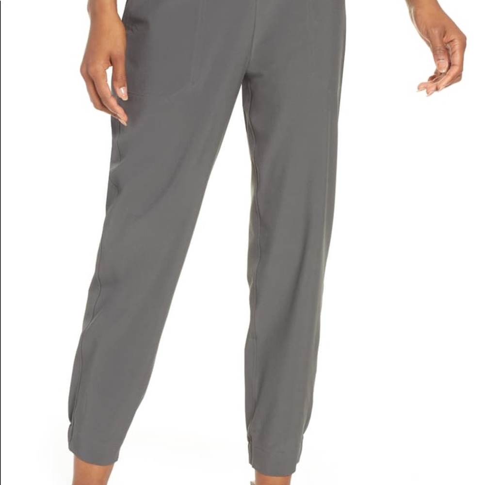 Patagonia happy hike pants